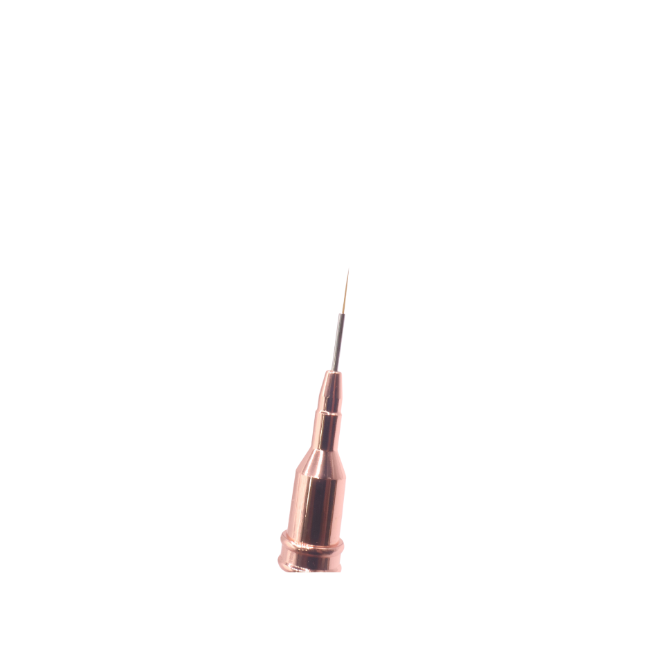 Nail Art Brushes