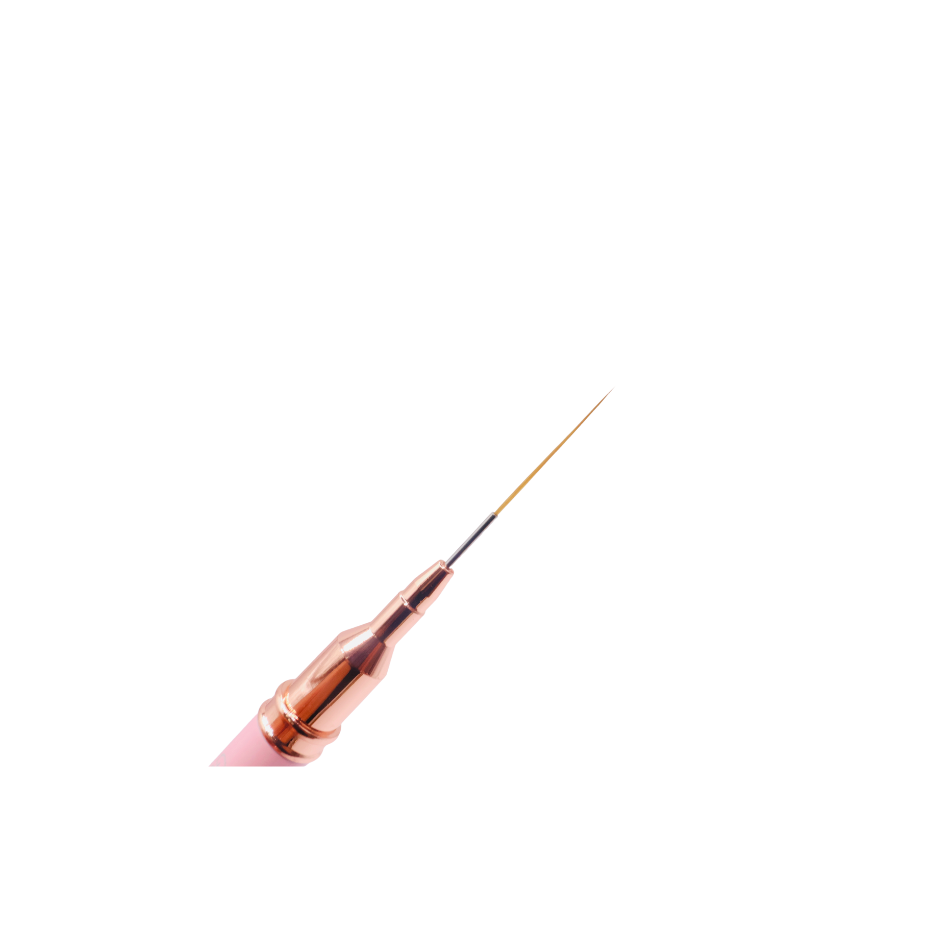 Nail Art Brushes